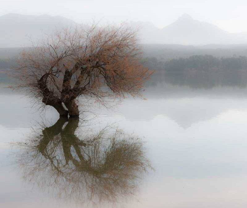 Detalle de la obra fotográfica "Complicidad" de Luisa María López Rubiño