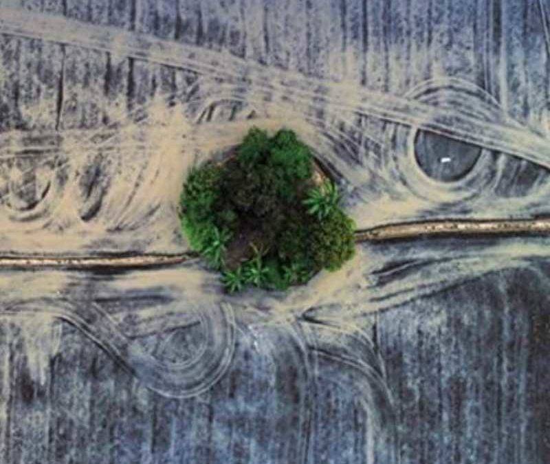 Sense of Values Quartet with John Ehlis