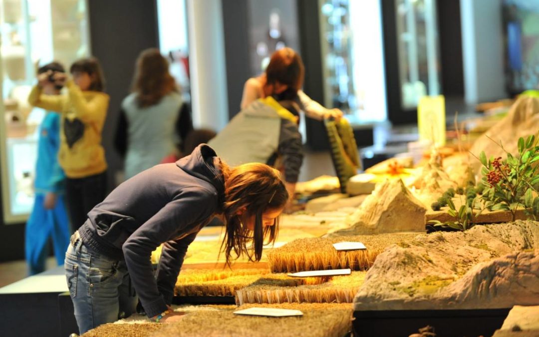 Público en el Museo Memoria de Andalucía