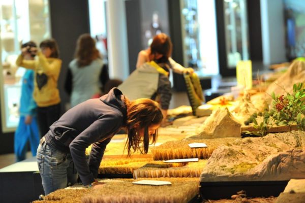 El Museo Memoria de Andalucía se suma a la celebración del Día de Andalucía con una programación especial de actividades y una Jornada de Puertas Abiertas el 2 de marzo