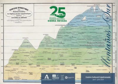 Montañas al Sur | Sierra Nevada en la Mirada Europea