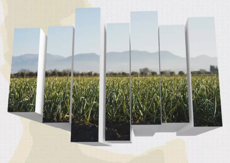 Creatividad con una imagen de la vega de Granada