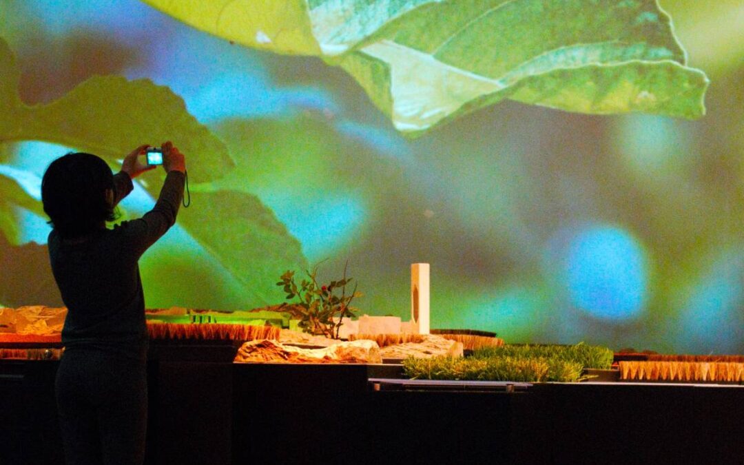 Niño en el Museo Memoria de Andalucía de CajaGranada Fundación