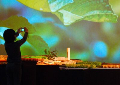 El Museo Memoria de Andalucía de CajaGranada Fundación se suma a la ‘IX Semana de la Vega’ con una programación de actividades para todos los públicos