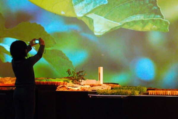 El Museo Memoria de Andalucía de CajaGranada Fundación se suma a la ‘IX Semana de la Vega’ con una programación de actividades para todos los públicos